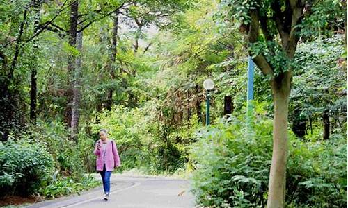 马鞍山森林公园在哪_马鞍山森林公园在哪里