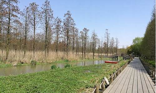 西青郊野公园_西青郊野公园游玩攻略