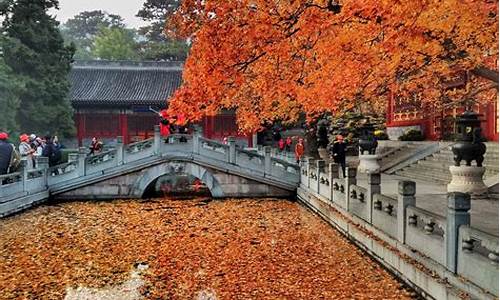 北京香山公园旅游攻略_北京香山公园旅游攻略一日游