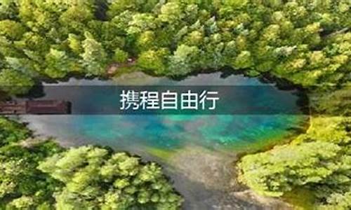 携程自由行和跟团的区别是什么级别_携程自由行和跟团的区别是什么级别啊